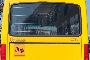 Scuolabus IVECO 50C15/56 3