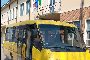 Scuolabus IVECO 50C15/56 2