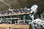 Macchine da far maglia industriali STOLL e SHIMA 5