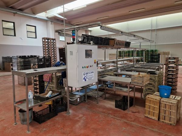 Crate packaging line - Judicial Liquidation 45/2025 - Court of Siracusa - Sale 2