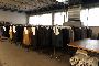 Mannequins and Clothes Racks 4