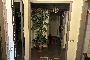 Apartament amb pla&ccedil;a d&rsquo;aparcament exterior a Pisa - LOT 9 4