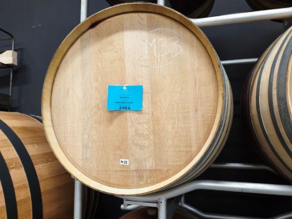 Asta Stock Vini Beatesca: - Brunello e Rosso de Montalc&igrave; in b&ograve;tte - Liquidazi&oacute; giudizi&agrave; n. 14/2026 - Tribbun&agrave;l de Fir&egrave;nze - V&egrave;ndita 3