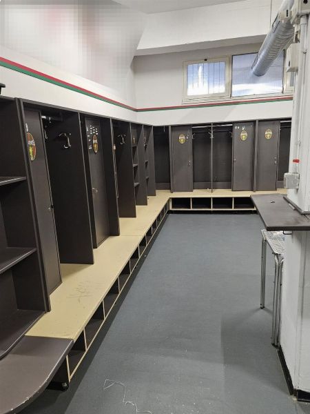 Marchio "Ternana Calcio" - Arredi e attrezzature sportive - Liquidazione Giudiziale n. 13/2026 - Tribunale di Terni