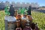 Cylinder Lot - Mixed Contents 6
