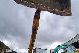 &Icirc;ncărcător telescopic Jcb 540-170 3
