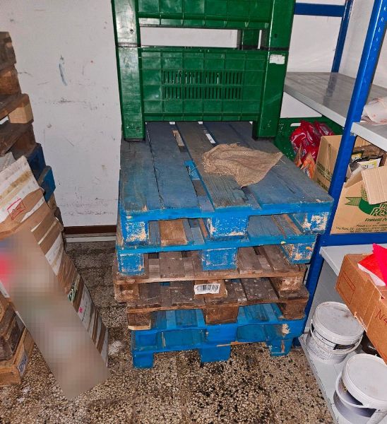 Bancone frigo e lavapavimenti - Liquidazione Giudiziale n.2/2026 - Tribunale di Spoleto - Vendita 2