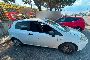 FIAT Punto del 2014 - B 1