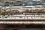 Introduttore Kannegiesse EMD 33-01+2-1/2 6