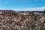 Corporate Shareholding - SIERRA INVEST PATAGONICA SRL 4
