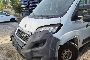 Furgone Isotermico Peugeot Boxer Gruppo Frigorifero - I 3