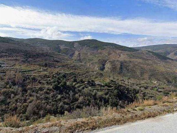 Vol eigendom van 2 landelijke percelen in Paraje El Cavio, Bacares (Almería) - Handelsafdeling van de Rechtbank van Eerste Aanleg van Almería nr. 2