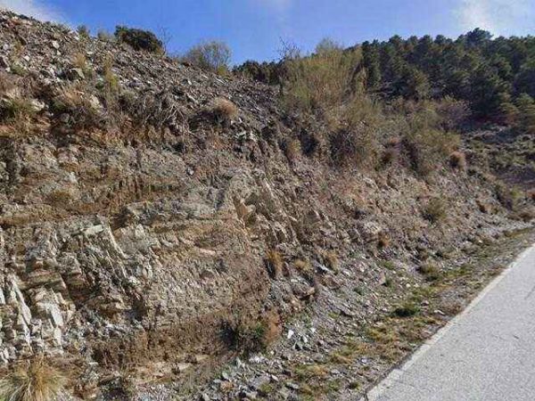 Vol eigendom van 2 landelijke percelen in Paraje El Cavio, Bacares (Almería) - Handelsafdeling van de Rechtbank van Eerste Aanleg van Almería nr. 2