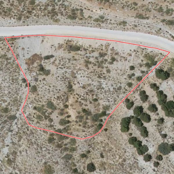 Vol eigendom van 2 landelijke percelen in Paraje El Cavio, Bacares (Almería) - Handelsafdeling van de Rechtbank van Eerste Aanleg van Almería nr. 2