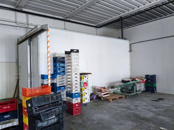 Kj&oslash;lerom, varebiler og utstyr for logistikk - Rettslig likvidasjon nr. 12/2026 - Tingretten i Terni