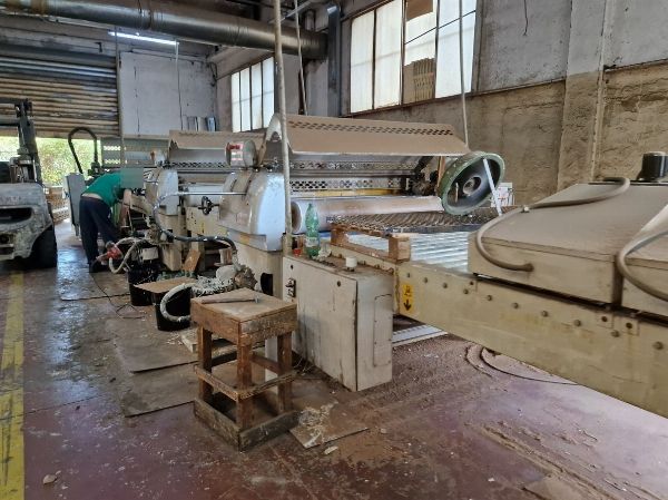 Cessione ramo d’azienda stampa etichette industriali - Provincia di Catania - Vendita Privata