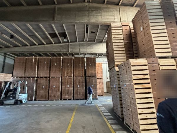 Capannone industriale, insieme di macchinari per la lavorazione del cartone e imballaggio, veicoli, scorte e attivi tecnologici - Tribunale Mercantile n&deg; 1 di Ja&eacute;n