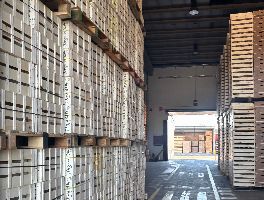 Capannone industriale, complesso di macchinari per la lavorazione del cartone e imballaggio, veicoli, scorte e asset tecnologici