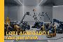 Объединённый лот 1 1