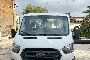 Ford Transit Iraultzailea 1