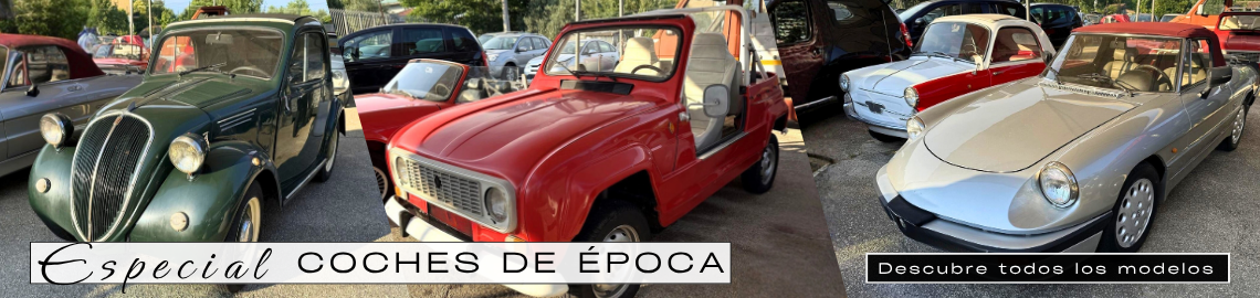 Coches Clásicos en subasta: Renault, FIAT, Alfa Romeo, Triumph - Venta Privada