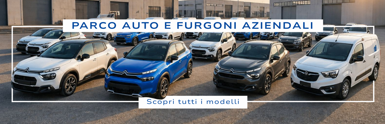 Parco auto e furgoni aziendali - Citroen, Fiat e Nissan - Liquidazione Giudiziale 108/2025 - Tribunale di Padova