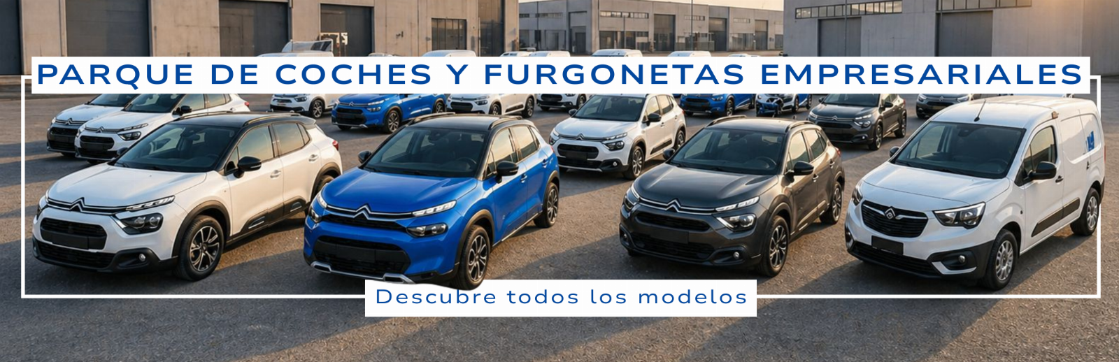 Parque de coches y furgonetas empresariales - Citroen, Fiat y Nissan - Liquidación Judicial 108/2025 - Tribunal de Padua